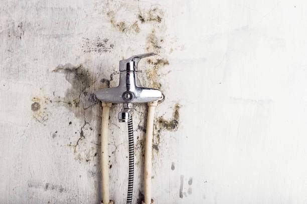 Best Emergency Mold Removal  in Mariposa, CA