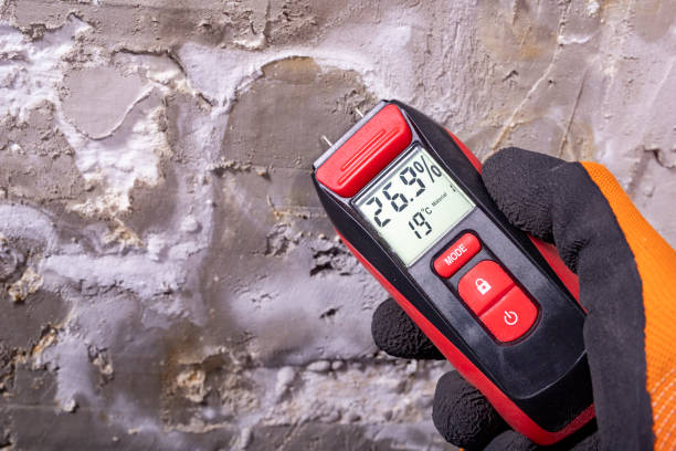 Best Water Damage Restoration  in Mariposa, CA