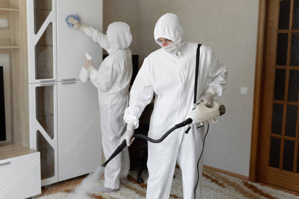 Best Certified Mold Removal  in Mariposa, CA