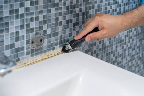 Best Mold Damage Repair  in Mariposa, CA