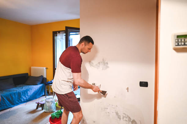 Best Fast Mold Removal  in Mariposa, CA